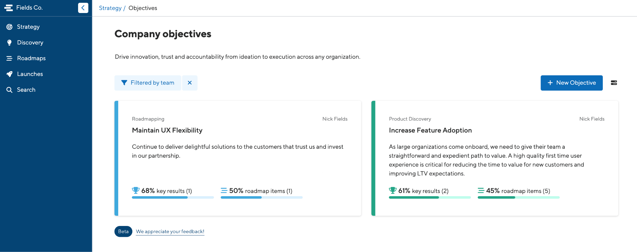 Filtered objectives page by Team within ProductPlan