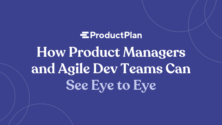 How Product Managers and Agile Dev Teams Can See Eye to Eye