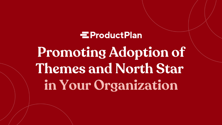 Promoting Adoption of Themes and North Star in Your Organization