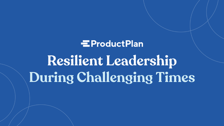 Resilient Leadership During Challenging Times